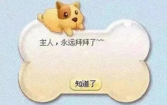 没10年网龄都不知道的梗,没十年网龄都看不懂这些梗