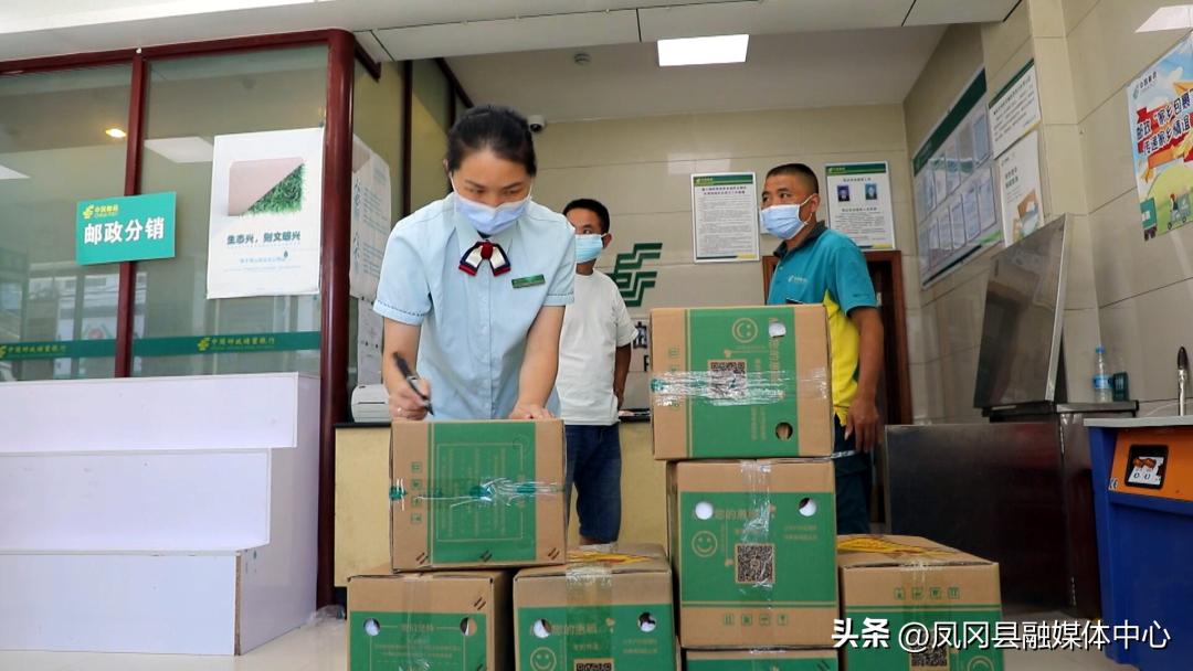 【代表风采】刘一燕：发展电商引货出山建言献策促发展