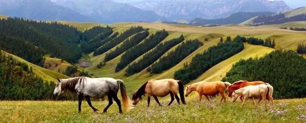 到甘肃旅游报价,到甘肃必去景点