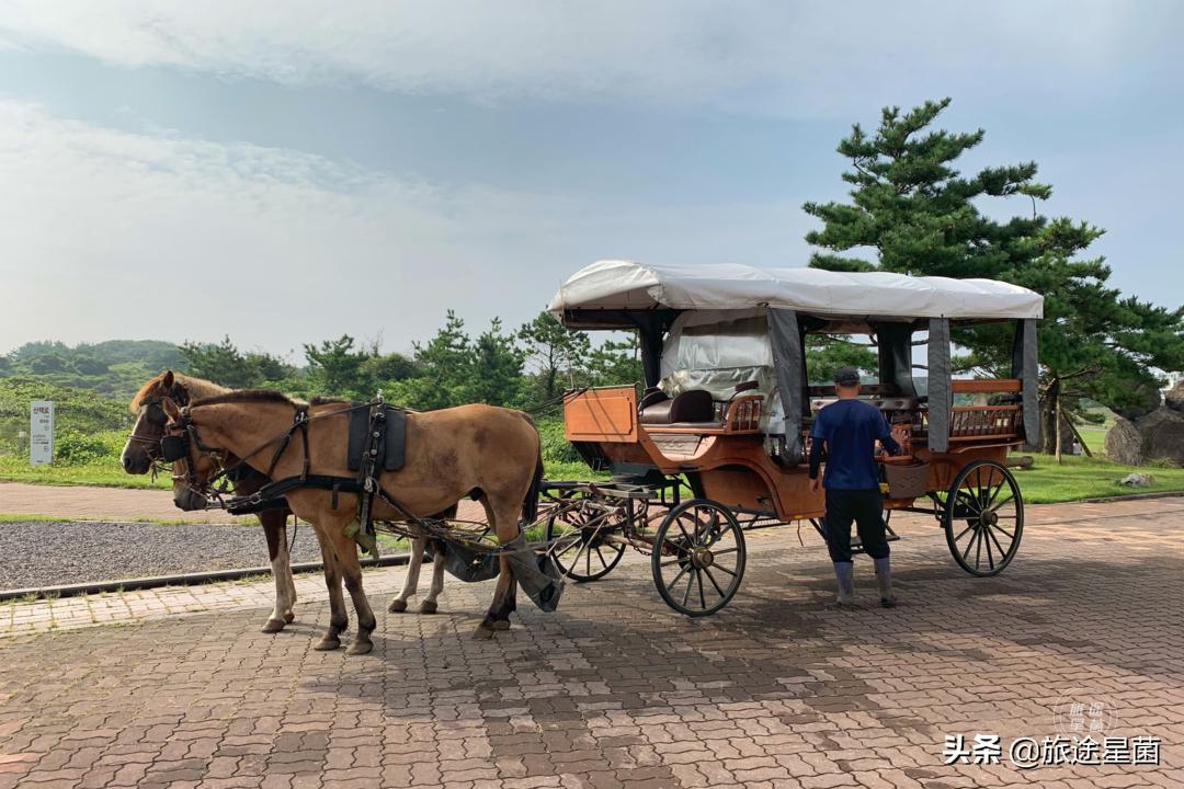 韩国|九月初的济州岛，时有风，偶有雨