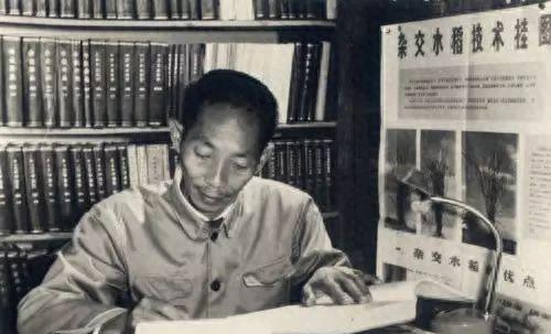 历史上能称得上国士无双的政治家,中国的国士无双有哪些人