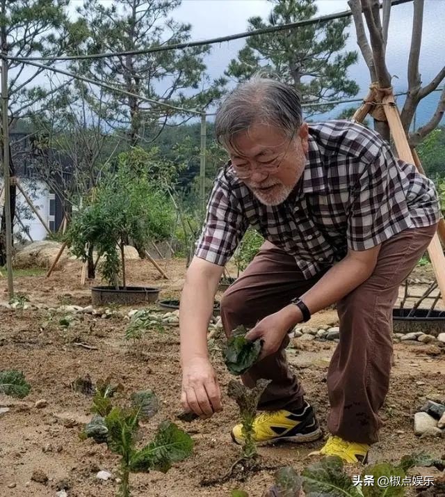 文在寅卸任后有哪些待遇,文在寅卸任后到底想做什么