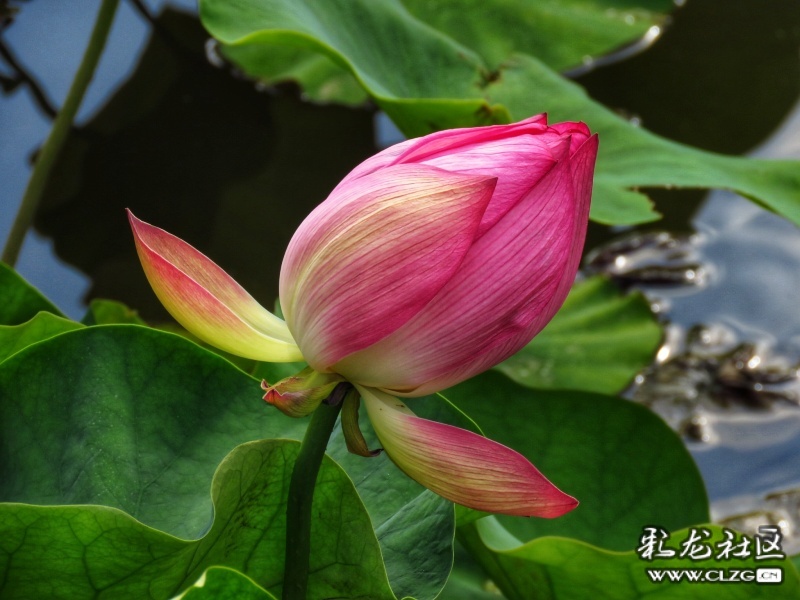 云南旅行攻略昆明,云南旅游全攻略昆明篇