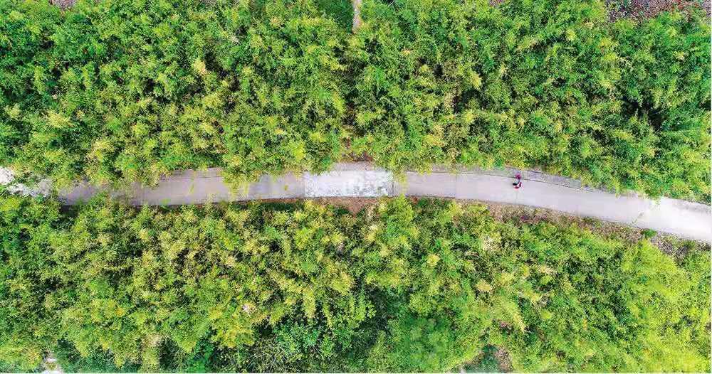 初夏好去处有哪些,惠州18公里环湖绿道攻略