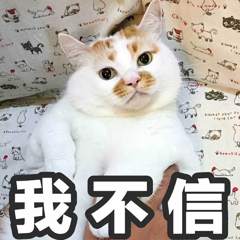 猫咪体臭是什么原因？原来跟这些问题逃不掉！