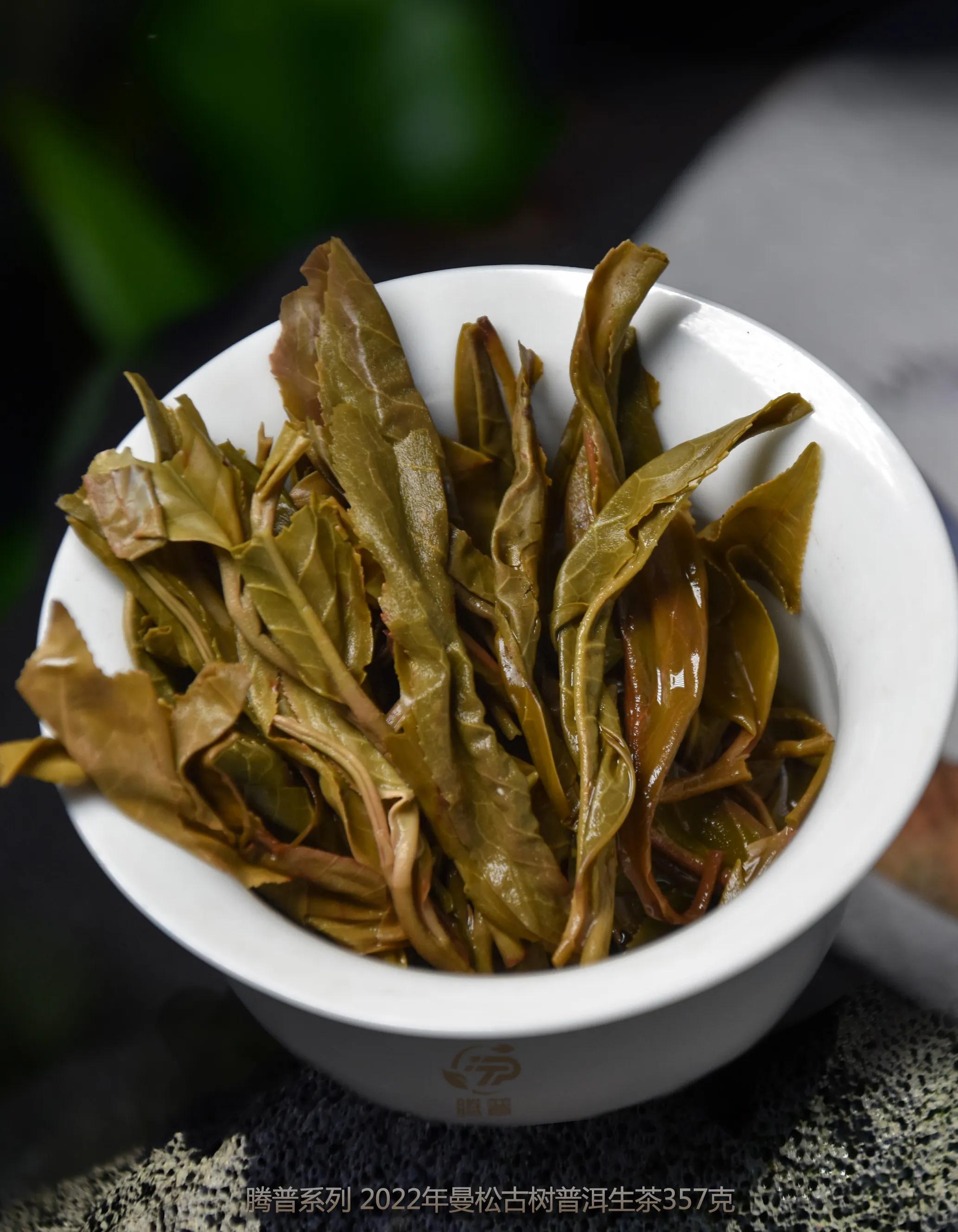 中茶曼松测评,曼松贡茶真正的主人