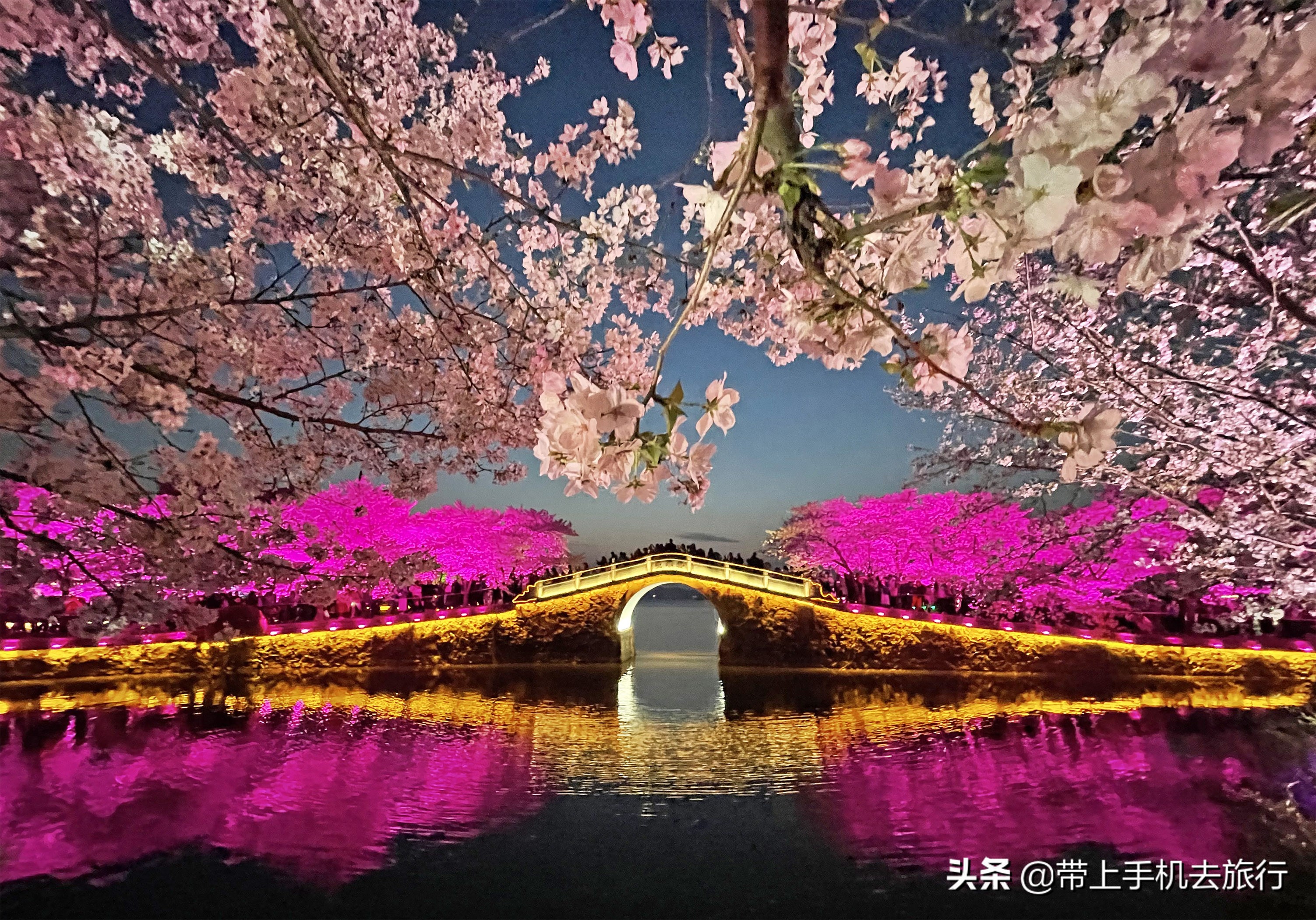 手机摄影怎么样用专业模式,手机摄影是怎么搞的