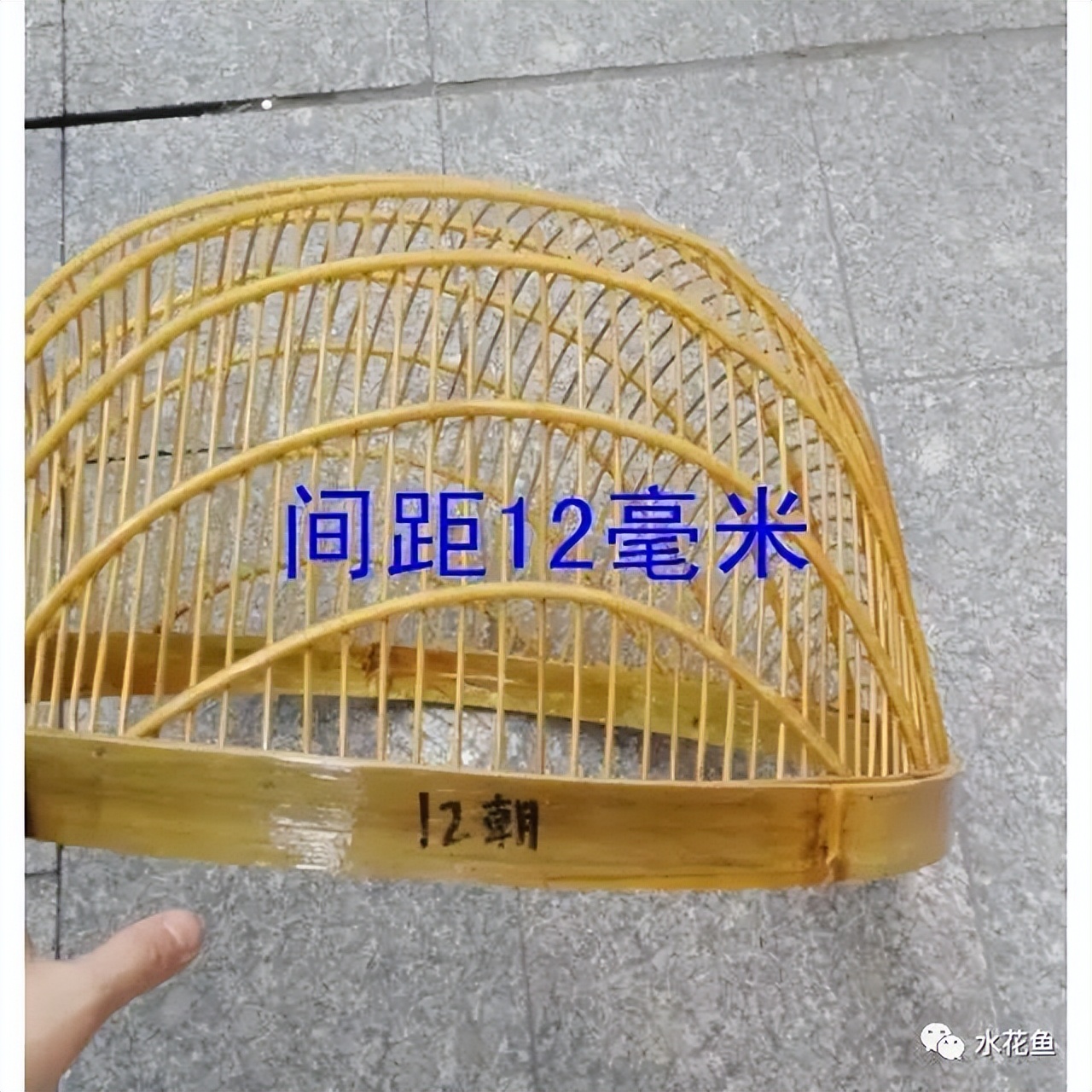 筛鱼神器小筛,4厘米宽的鱼筛可以筛多大的鱼