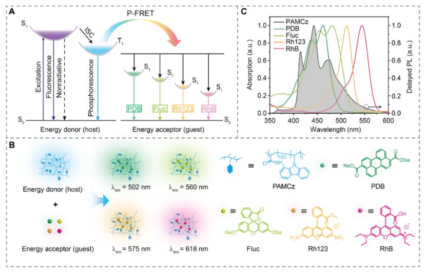 南邮团队造出高效蓝色余辉材料,在安全打印上具备应用潜力