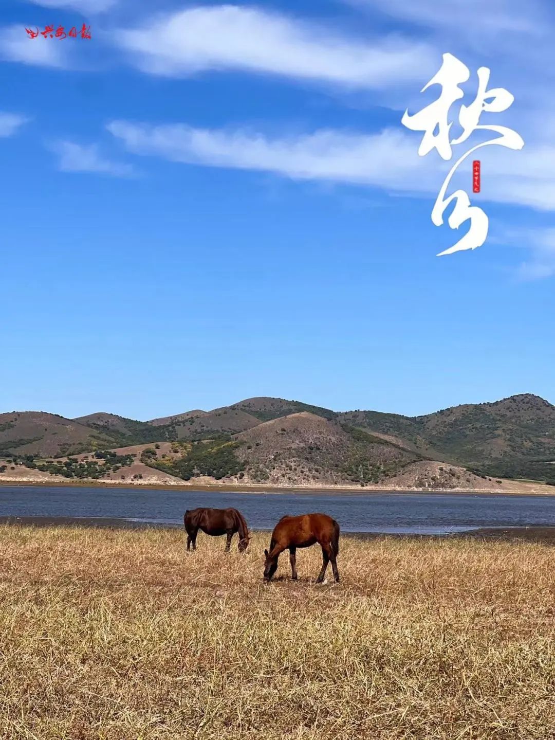 二十四节气之秋分丰收,秋分节气平分秋色