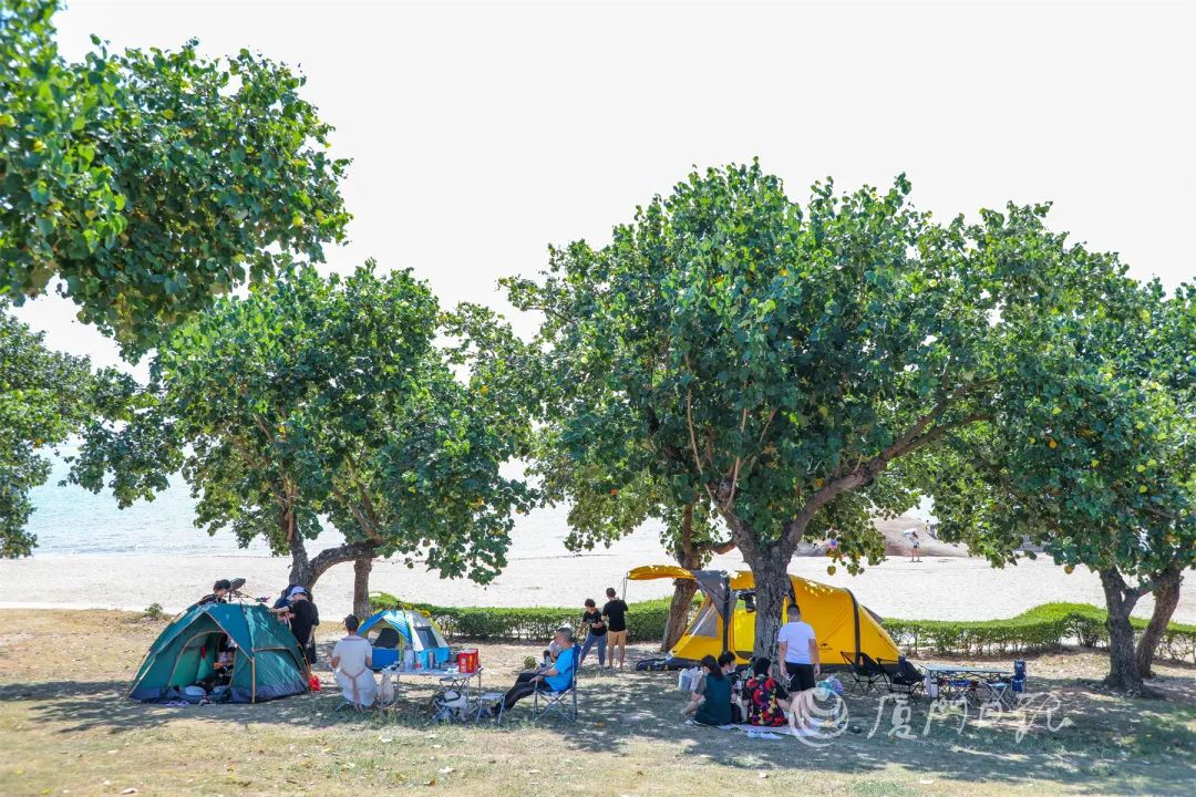 夏天厦门三亚北海到底选哪个好玩,厦门夏天哪个景区最好