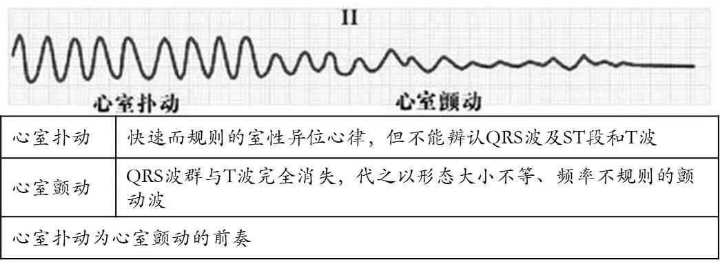 兽医临床诊断学名词解释,兽医临床诊断学教学视频