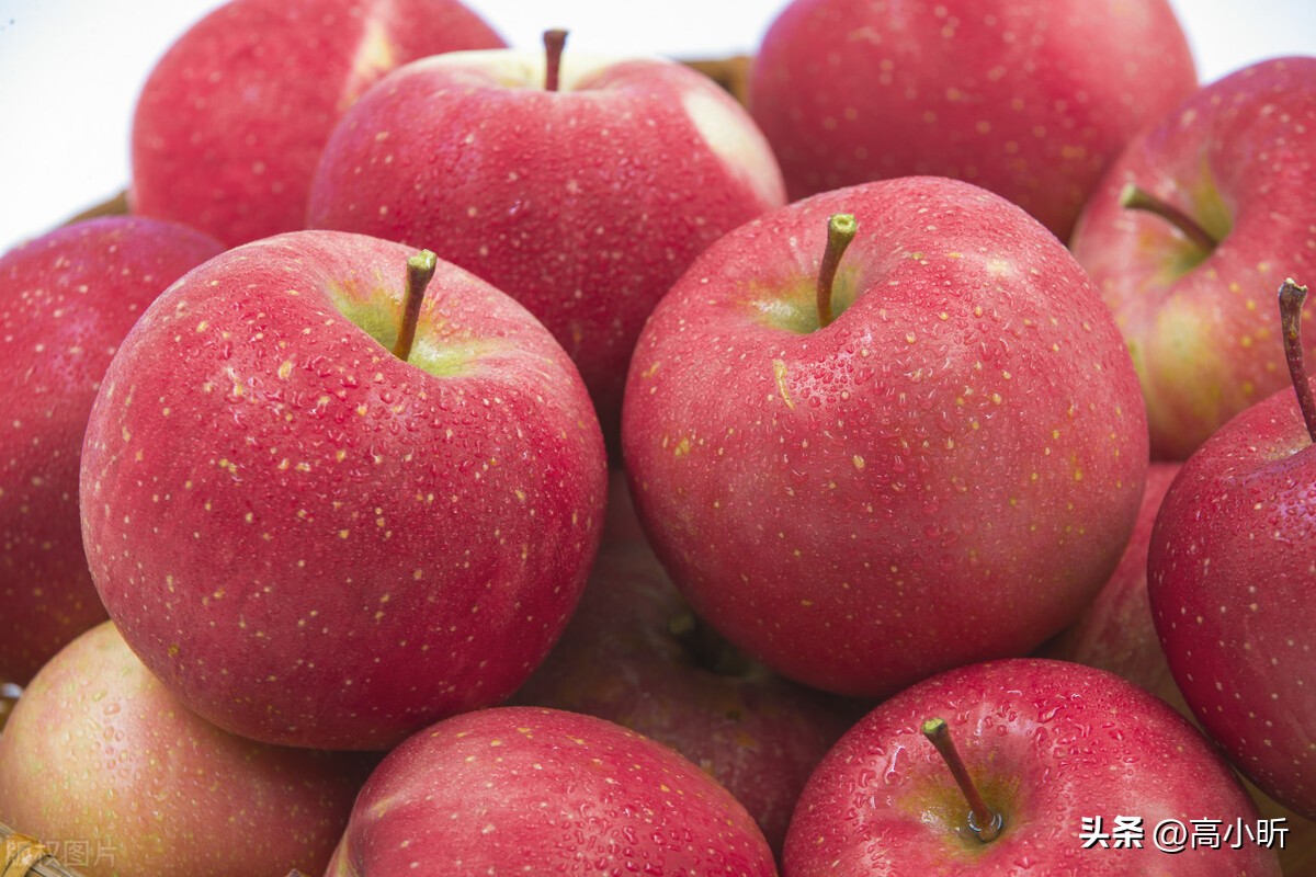 现在中国哪里的苹果最便宜最好吃,中国苹果口感最好的地方