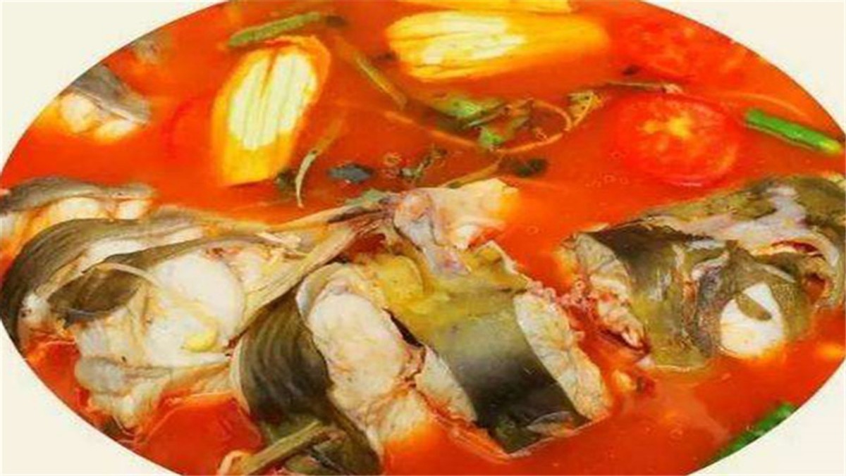 贵州正宗酸汤鱼做法,贵州正宗酸汤鱼的做法