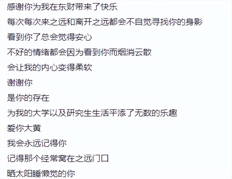 东北财经大学发讣告,东北财经大学为猫发讣告