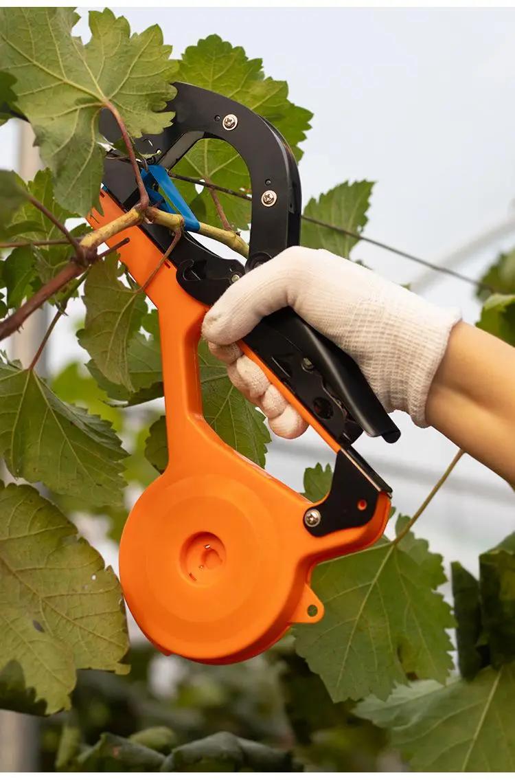 五更绑枝机对比老款绑枝器