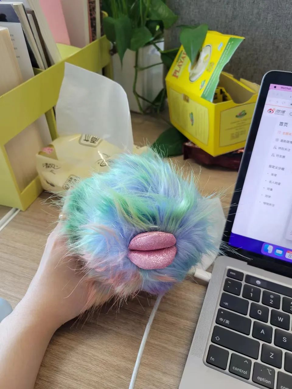 全球最火的人格测试,21年很火的人格测试