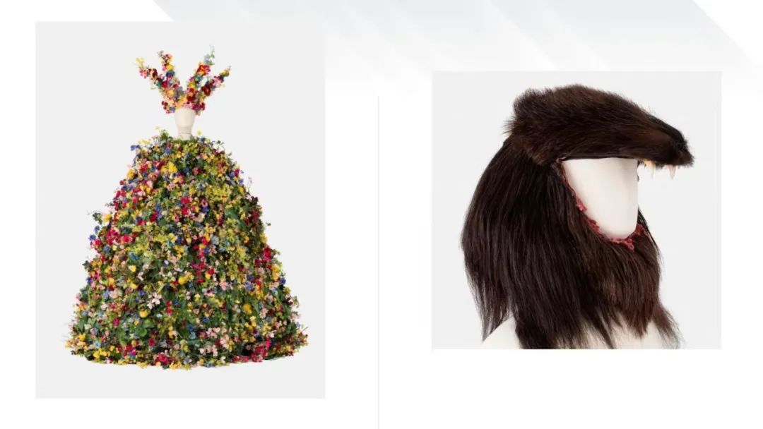 太火了，杨紫琼都没这浣熊有人气