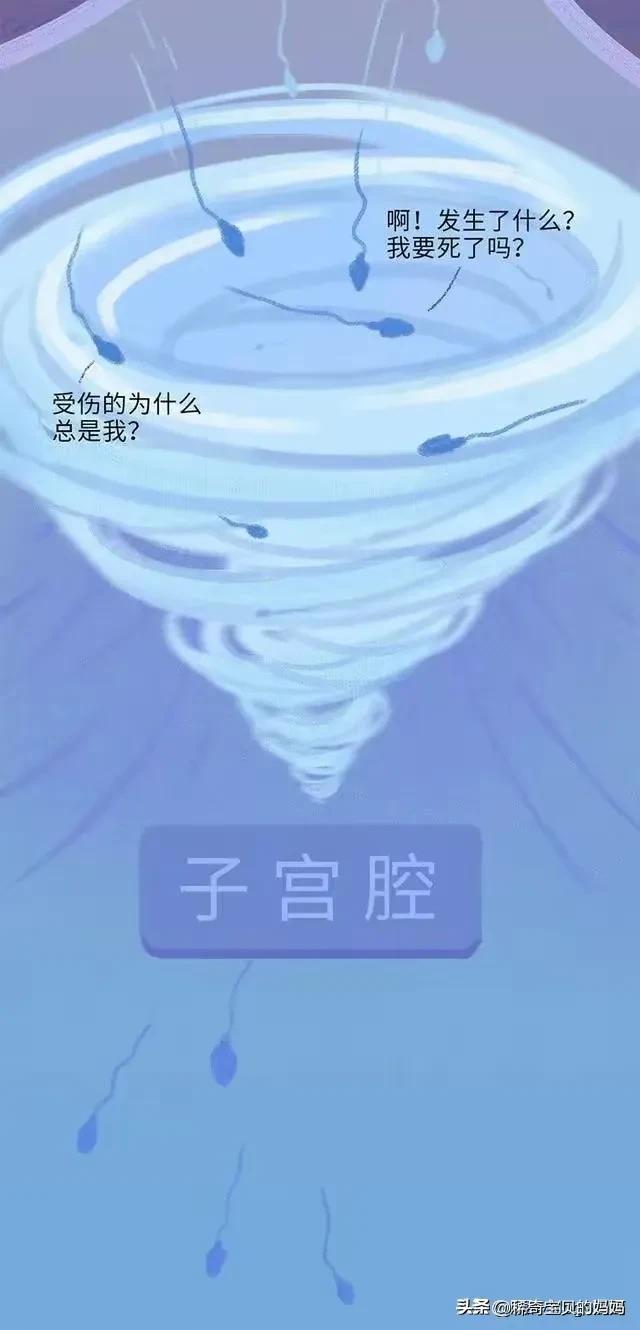 精子进入女性体内的24小时，都经历了什么？漫画