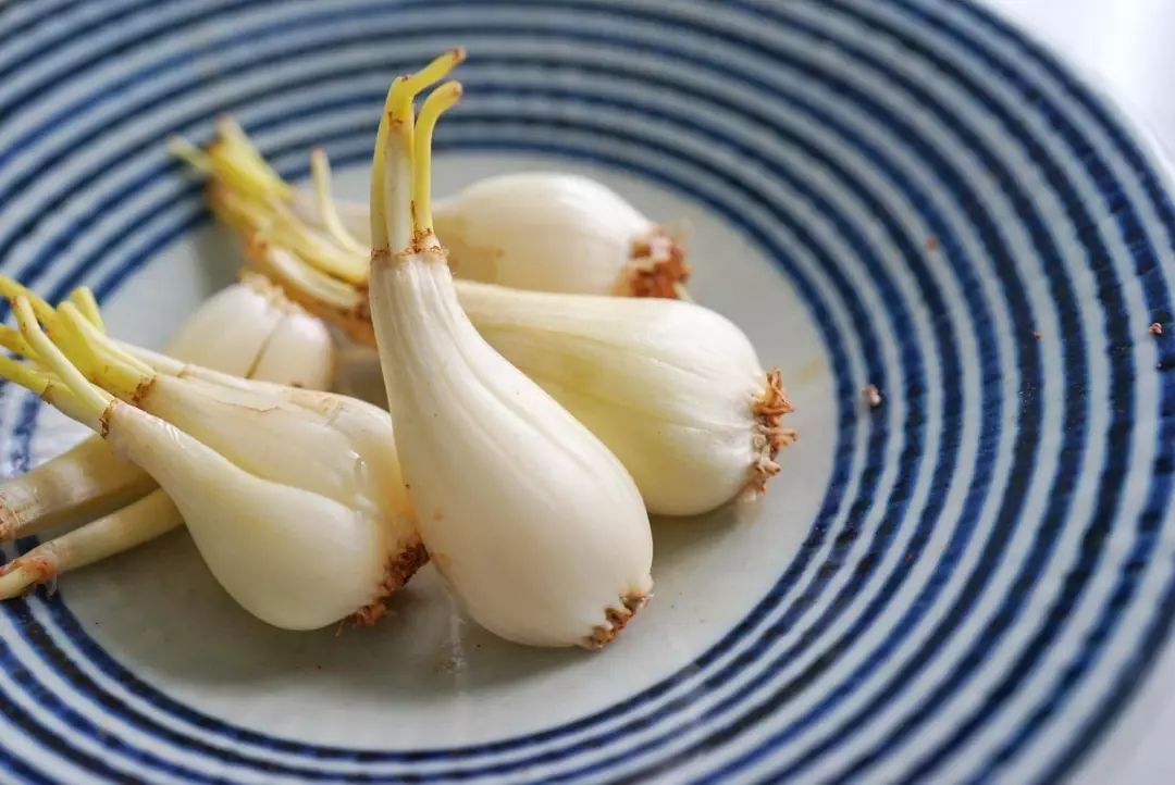 亚运美食食堂,2022亚运会菜肴