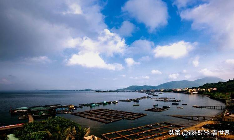 海岸线：邂逅*江阳**——感受这座慢节奏小城文化底蕴感悟人文之美