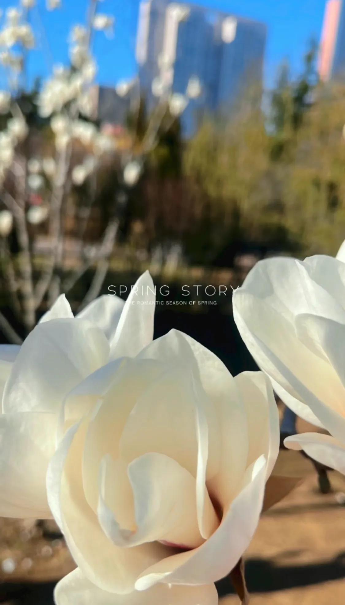 塑料姐妹花,塑料姐妹花电视剧大全