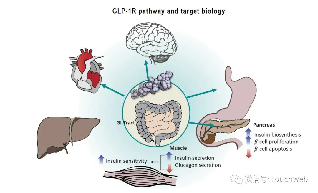 纭曡开鐢熺墿鑾峰緱铻嶈祫,纭曡开鐢熺墿鑲＄エ