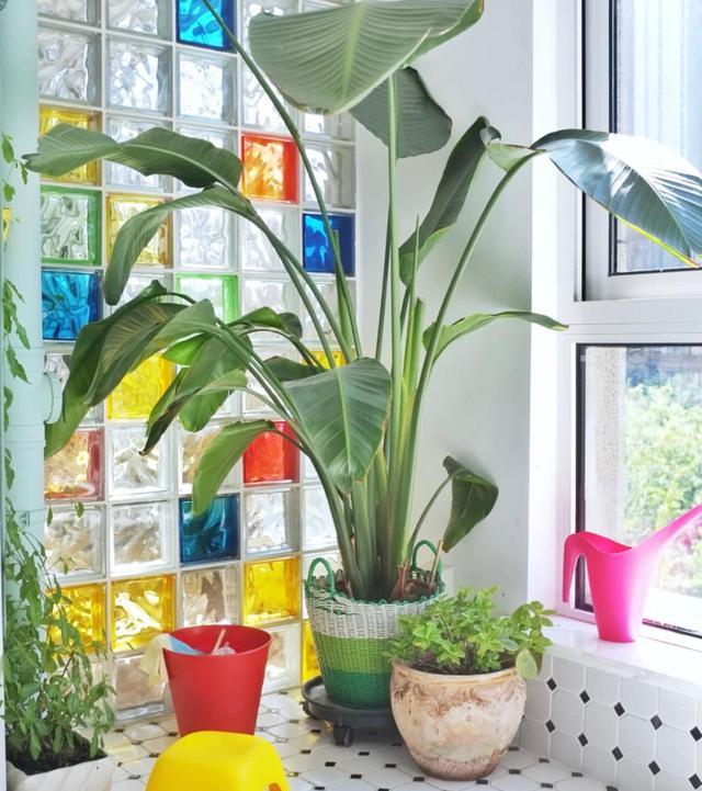 鸡肋的高奢设计,很流行却鸡肋的设计