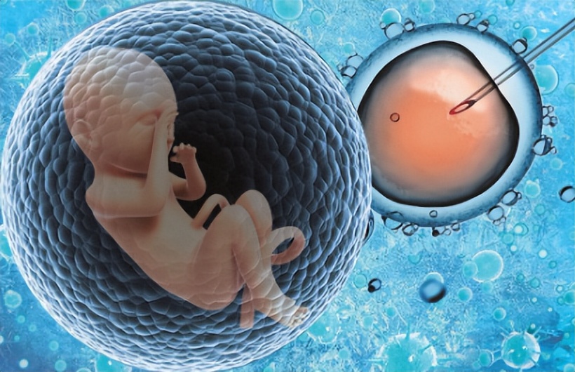 一对夫妇生出双胞胎,夫妻借22万生下试管双胞胎