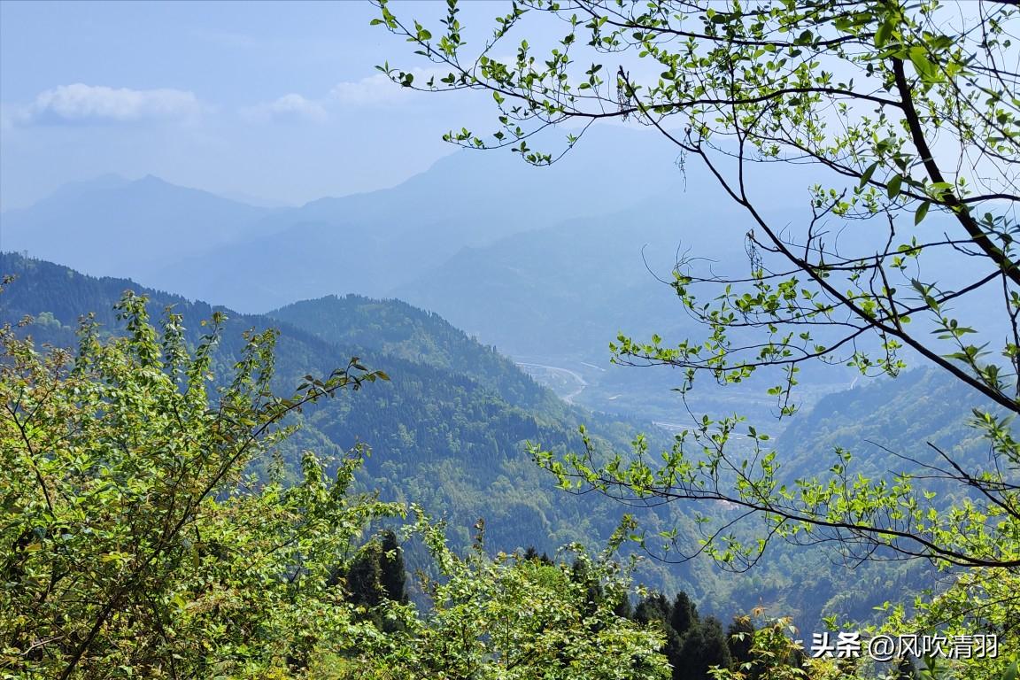 青城山度假避暑好地方,成都附近度假避暑便宜的好地方