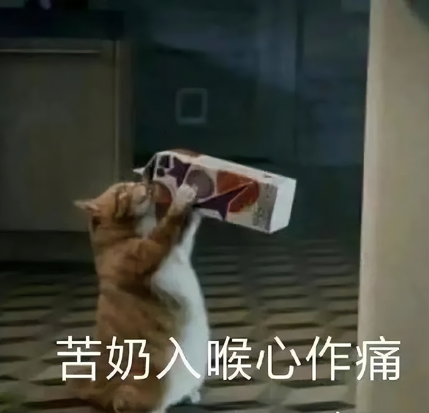 20所「吃住最糟糕」的美国大学！不管怎么骂，条件永远那么差……