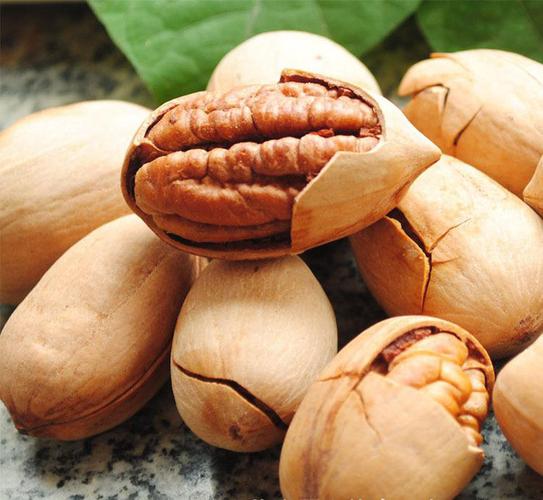 碧根果果实能结多少年,开心果碧根果是什么树的果实