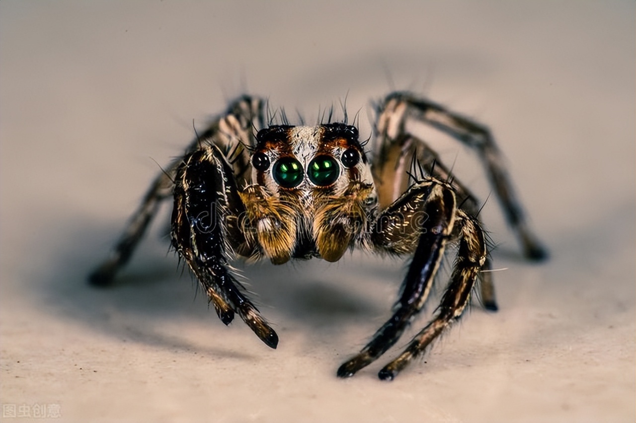 西游记里的妖魔鬼怪有多少个,西游记里的妖魔鬼怪