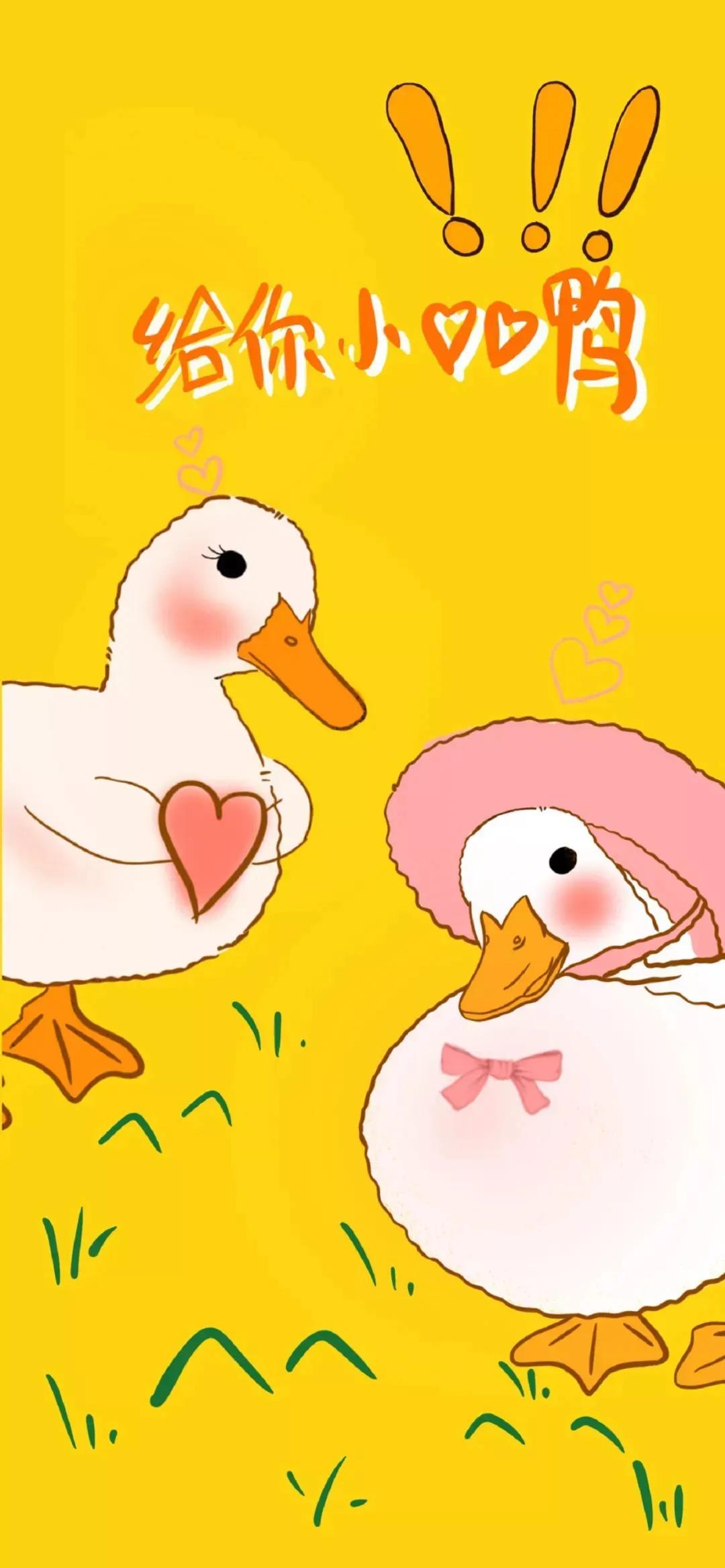 手机壁纸情侣壁纸,动漫情侣壁纸超清全面屏