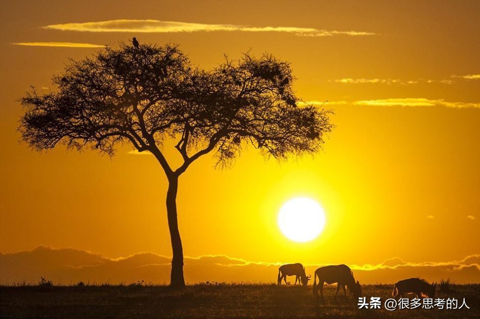 南非为何hiv高,南非是如何成为发达国家的