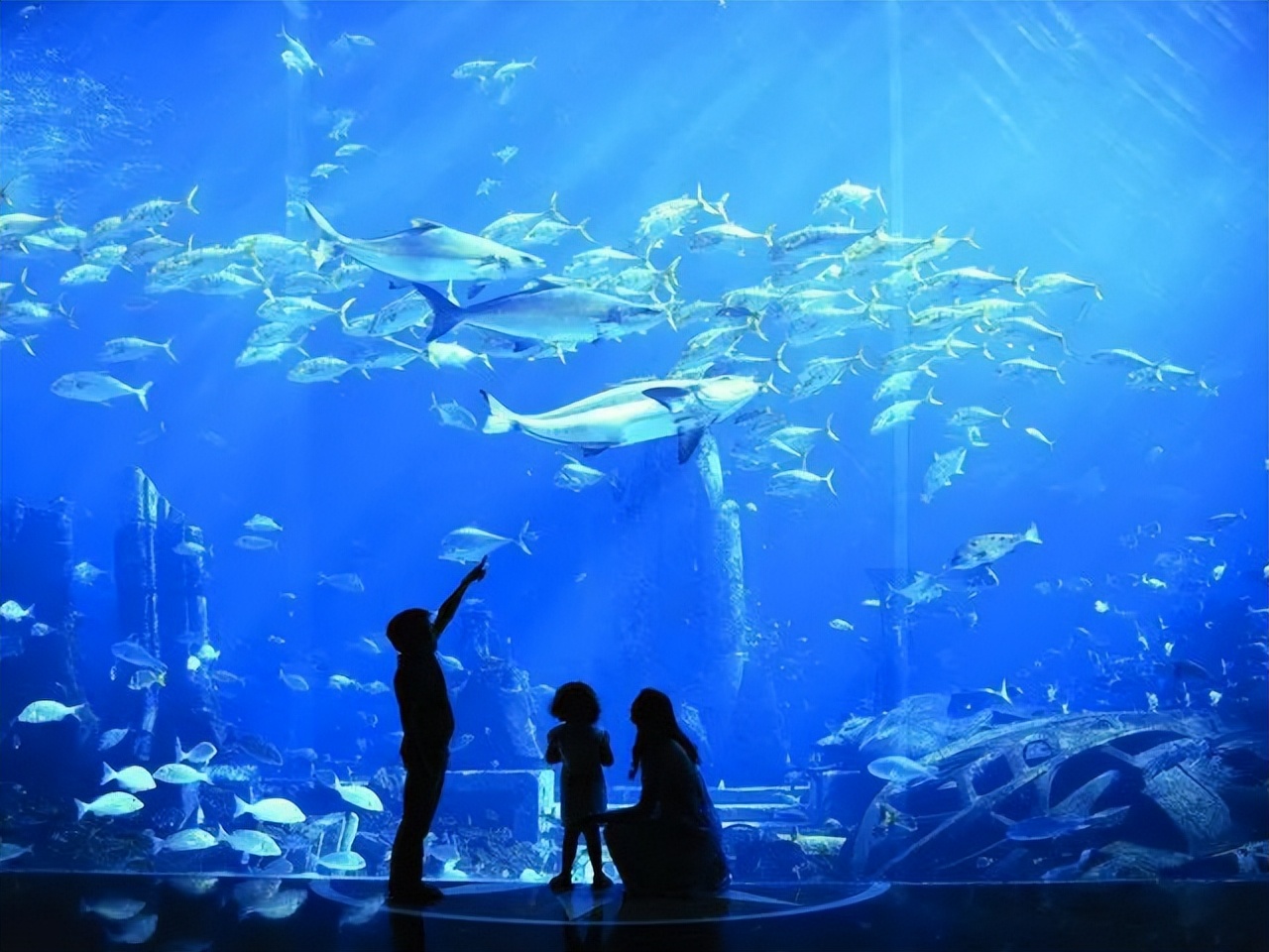 科普大赛师生,海洋科普竞赛