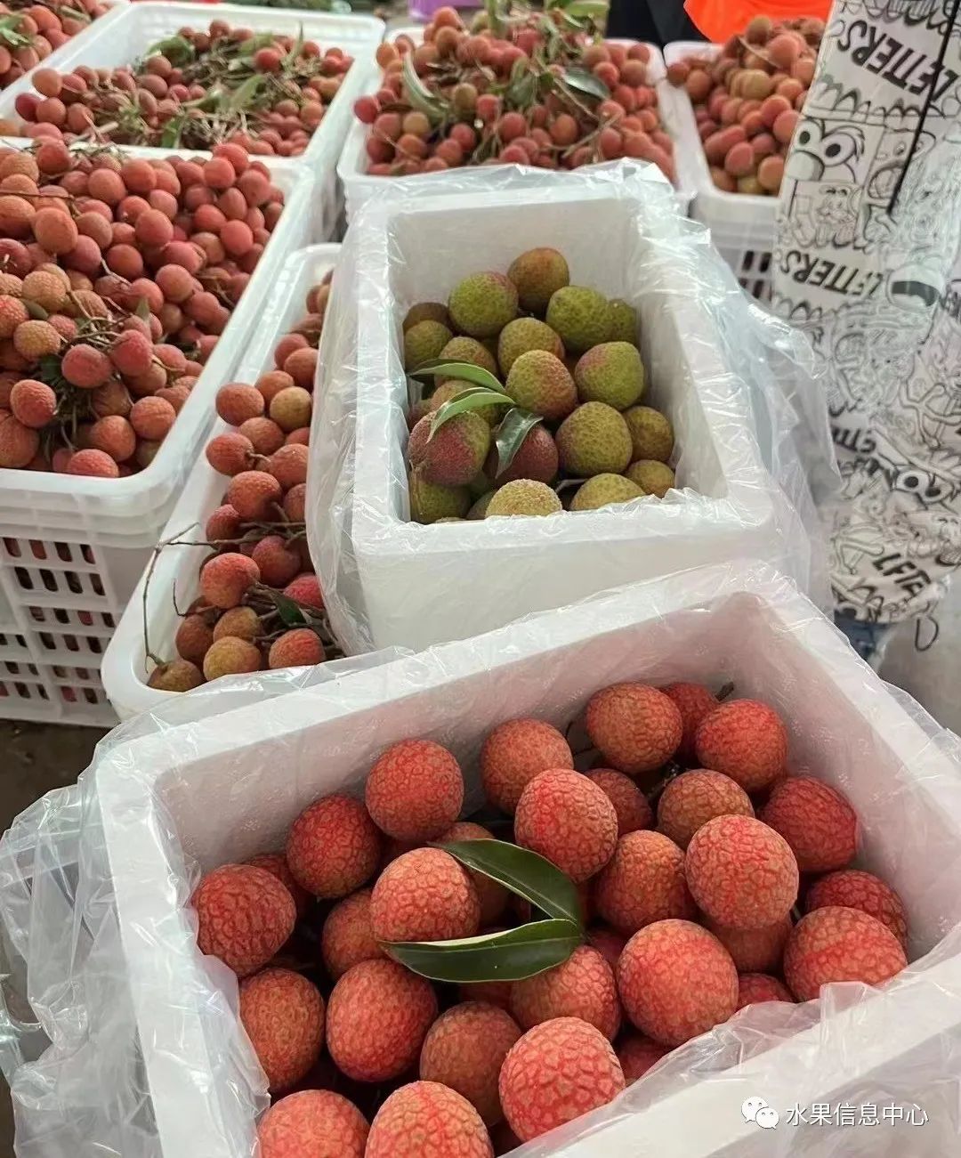 水果采购过程中的问题及解决方案,水果供应商怎么寻找采购商