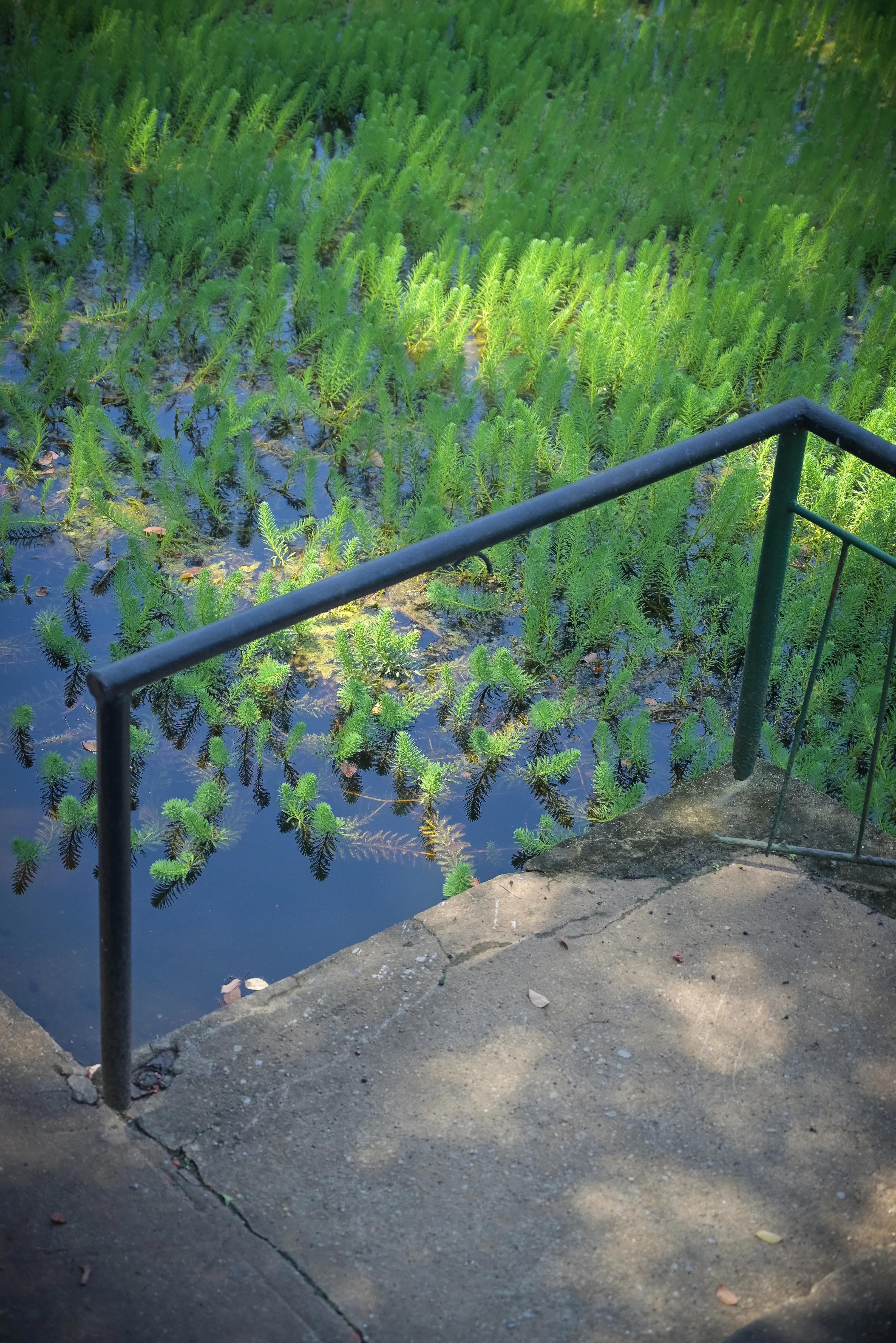 株洲棉纺厂,株洲棉纺厂历史