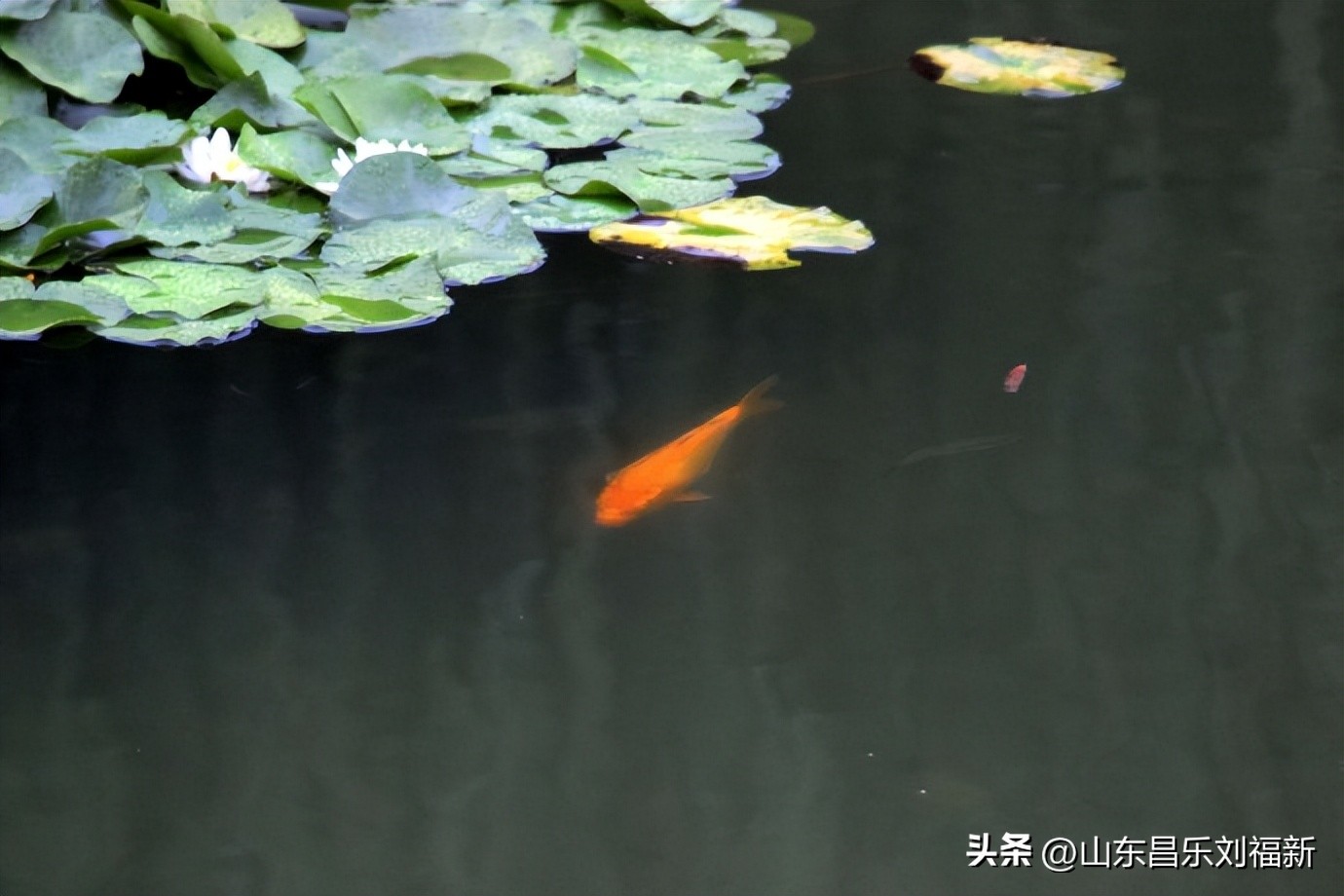 阴雨连绵网易云,阴雨连绵网易云卡点