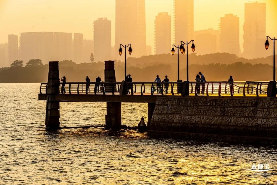 深圳免费好玩旅游景点排行榜前十,深圳十大好玩的景点推荐