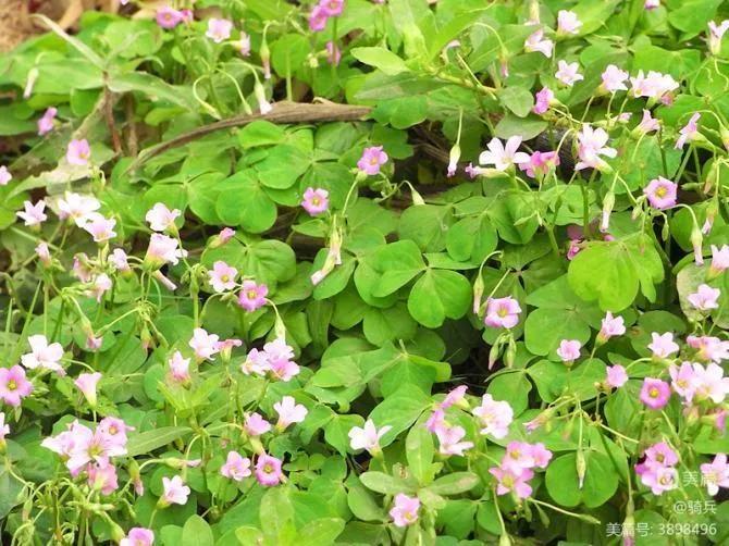 桂湘粤三省骑行交流,广西柳州三江自驾游视频