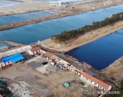 男子50元买海鲜发现是海洋活化石,一男子花10万买海参后续