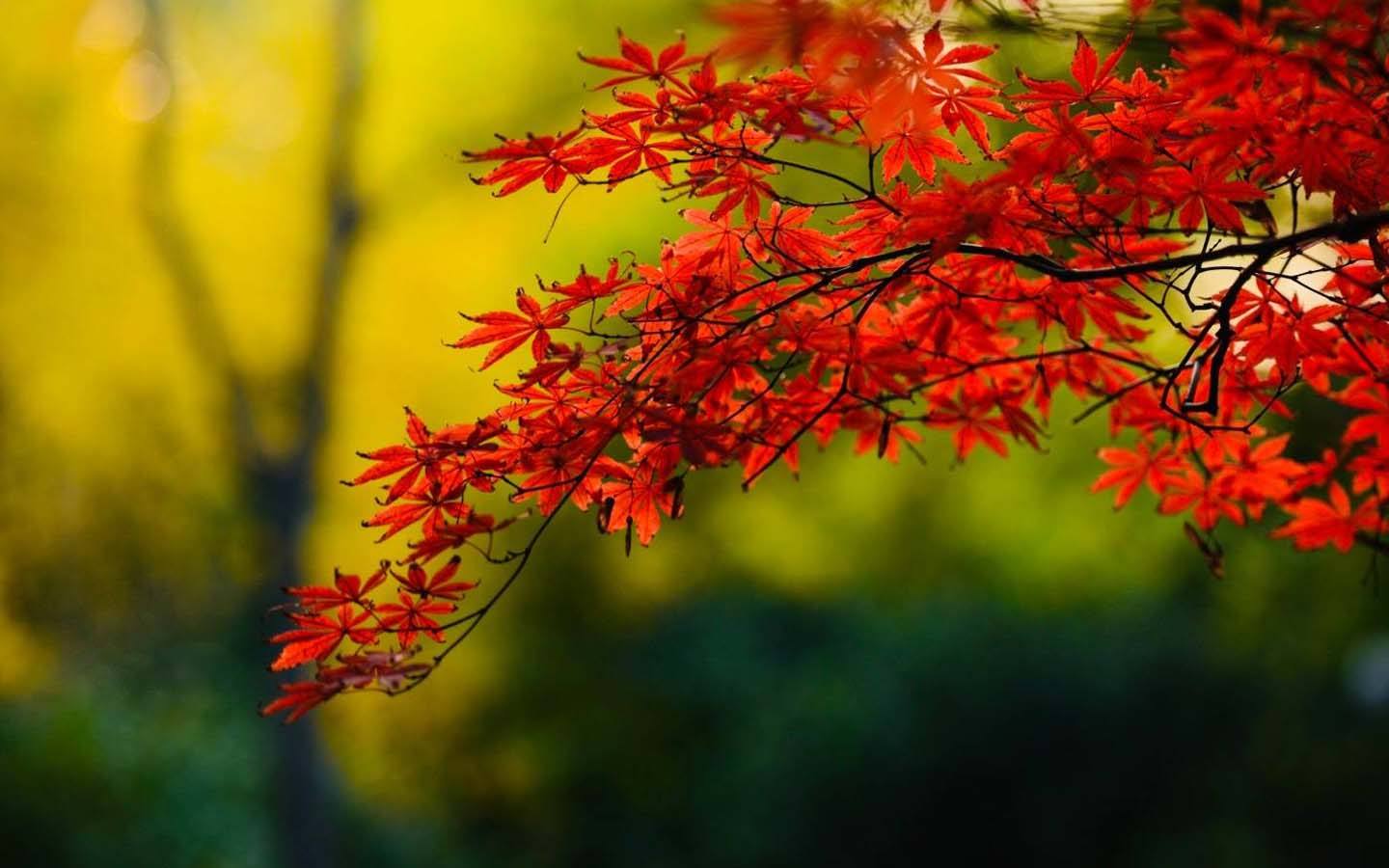 爱欲的“爱”字背后,为什么要和“欲”字相连?