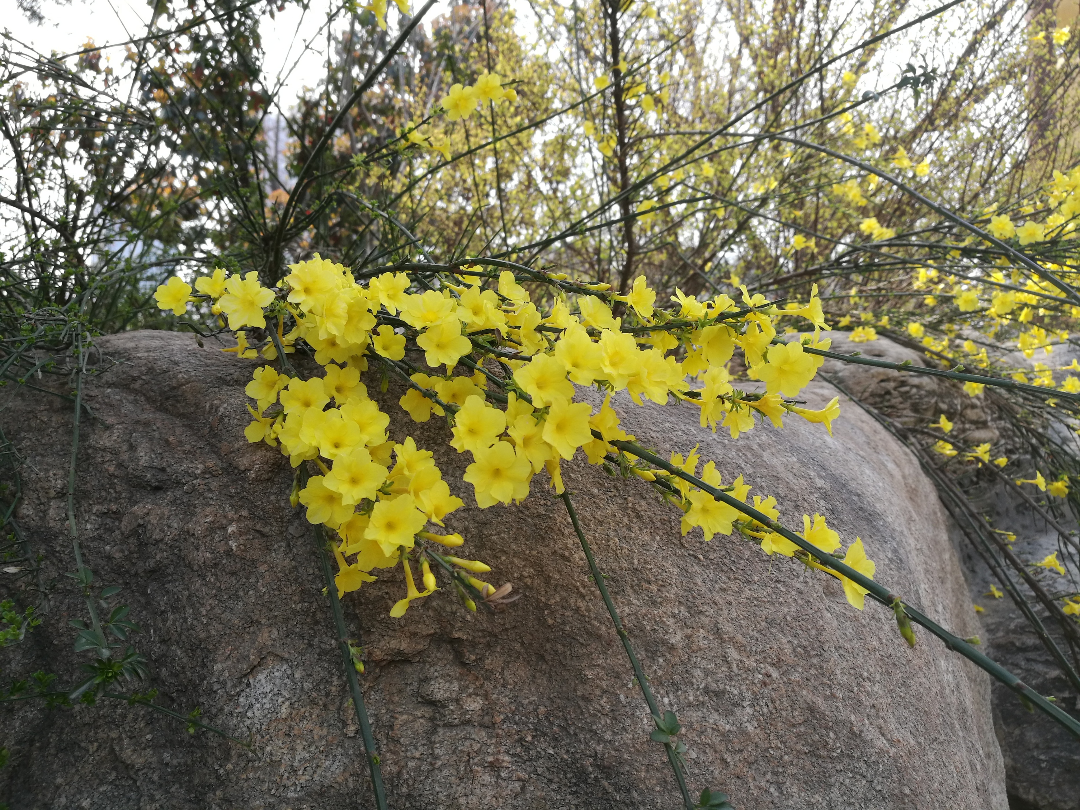 发·孔明一字文（14）