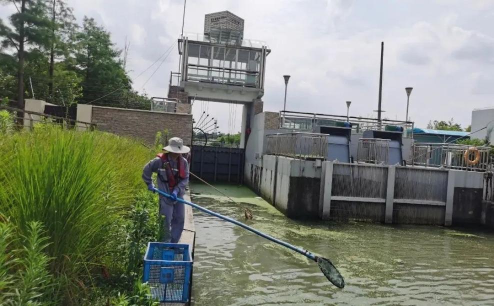 环保市场最新消息,环保市场风向变了