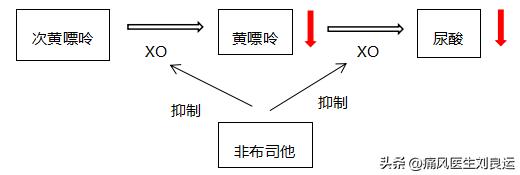 痛风犯了非布司他可以吃吗,痛风用非布司他片效果如何