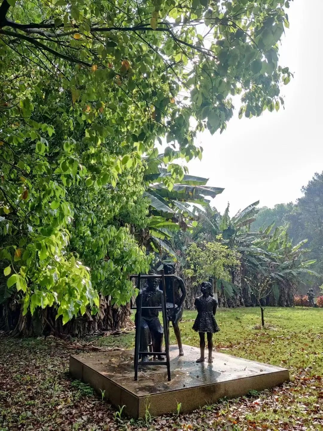 福州大学研究生2024招生目录,福州大学硕士研究生招生简章2024