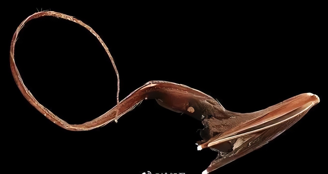 中国以前的足球有多厉害,趣知识科普