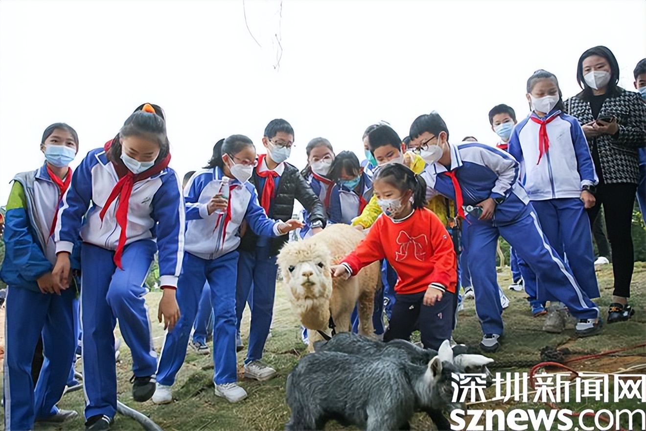 盐田区华大科普教育基地门票,盐田华大科普教育基地可以野餐吗