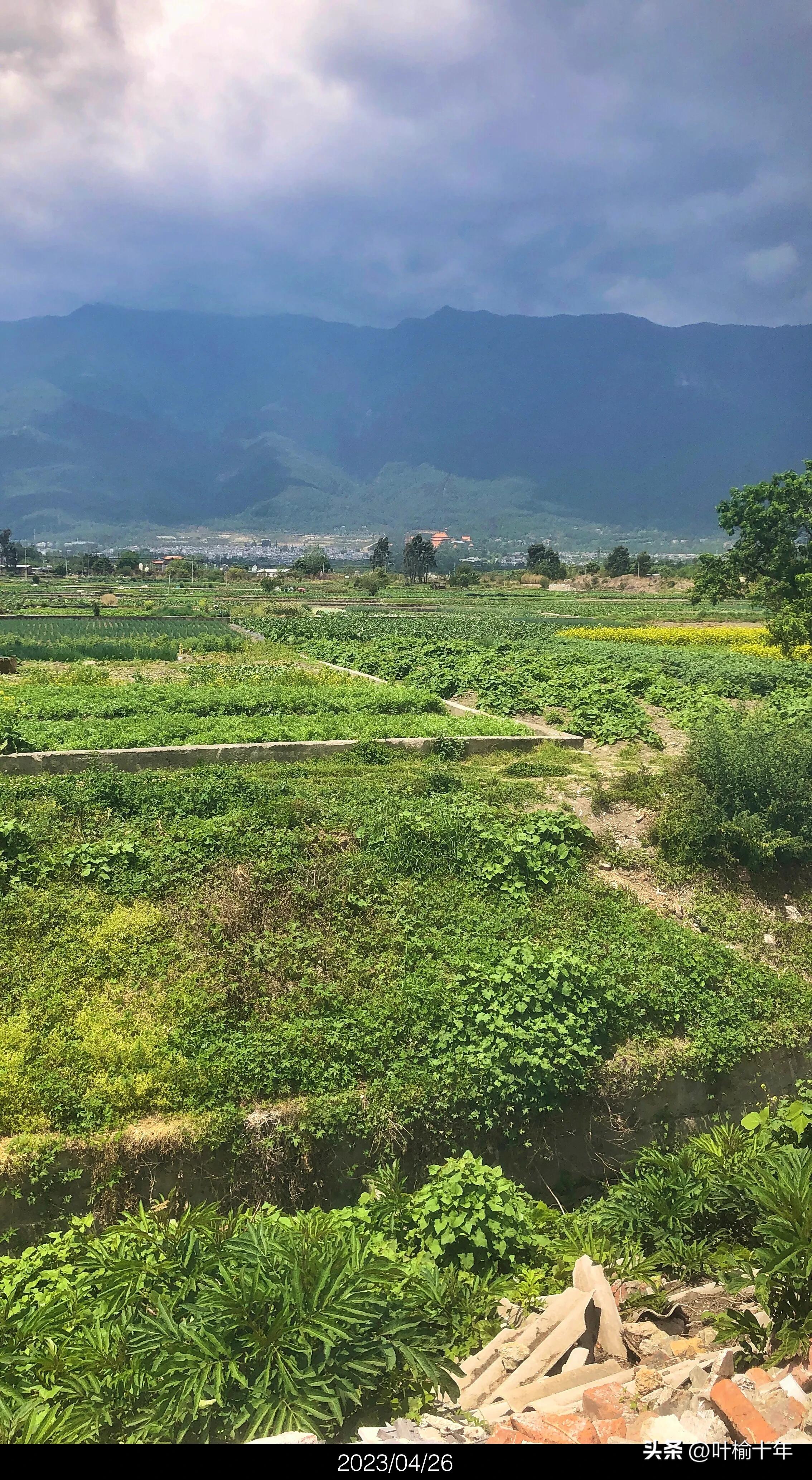 农产品电商的发展及现状,农产品电商发展现状与趋势